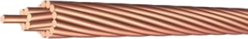 02009w1t-235c-506x81.png