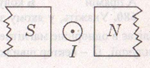 02009wcl-98e1.png