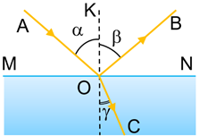 02009x5n-9d06.png