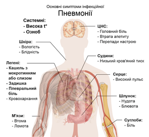 02009xin-9012-345x316.png