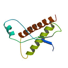 02009xun-7413.png