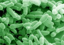 02009xuz-108a-220x154.png