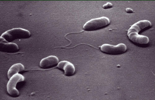 02009y1j-1e27.jpg
