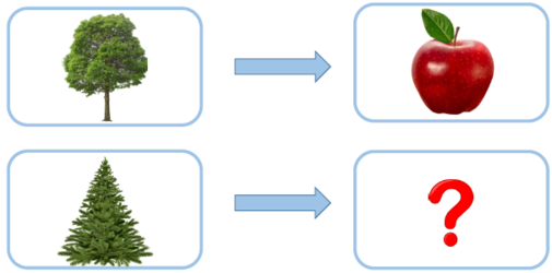02009yn1-0536-505x250.png