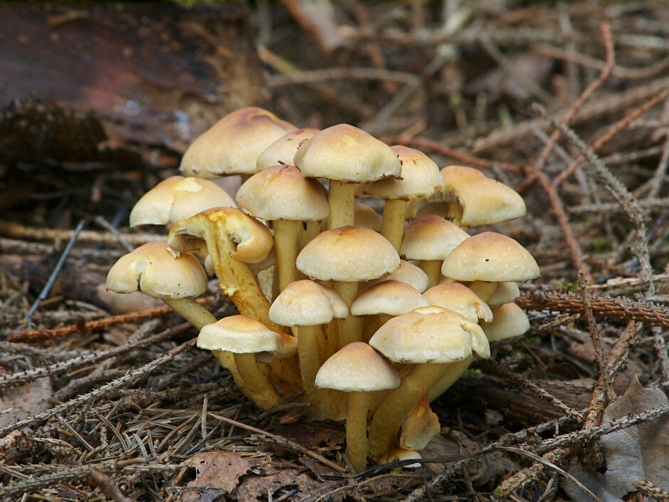0200a0f8-8745-940x705.jpg