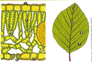 0200a0xm-ff6b-412x279.jpg