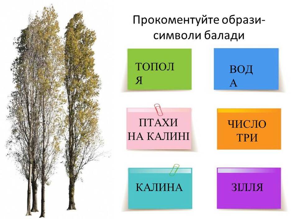 0200a27a-354c-940x705.jpg