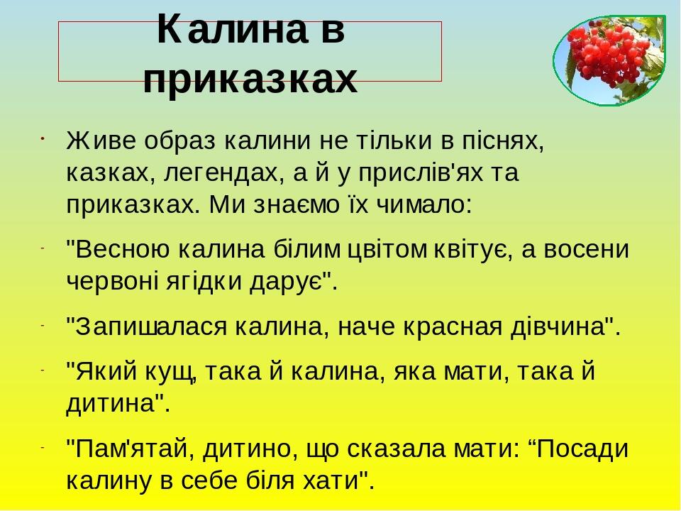 Явор и калина слова