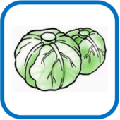 0200a5j4-6315-210x210.png