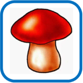 0200a5kq-5572-170x170.png