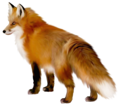 0200a72d-0737-235x210.png