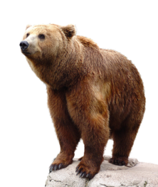 0200a73u-b9b7-222x263.png
