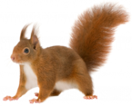 0200a74s-ac6c-145x117.png