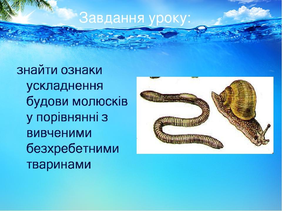 Завдання уроку: