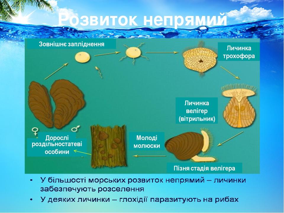 Розвиток непрямий