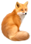 0200a7uu-2c18-111x154.png