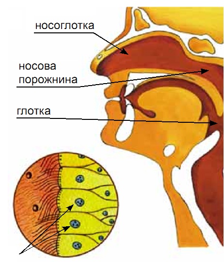 0200a87k-4c3c.jpg