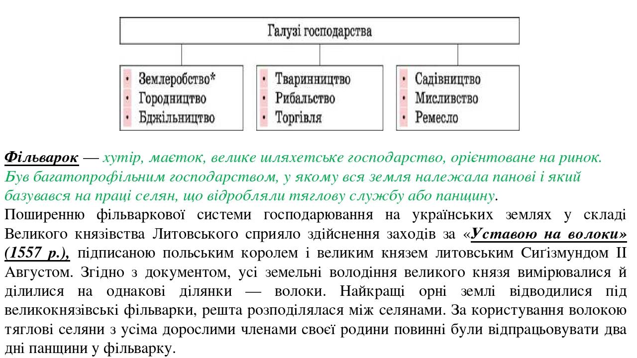 Фільварок — хутір, маєток, велике шляхетське господарство, орієнтоване на ринок. Був багатопрофільним господарством, у якому вся земля належала пан...