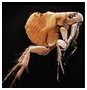 0200aak2-3b38-178x184.png