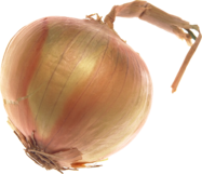 0200acbe-dcbe-187x161.png