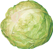 0200acd4-5b43-202x189.png