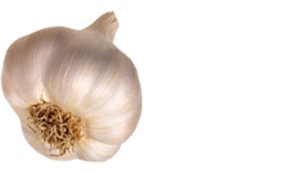 0200aceg-9cc7-261x155.png