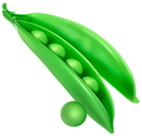 0200aci9-dc51-204x195.png