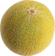 0200aclo-f26f-179x183.png
