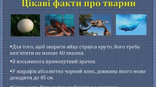 Презентація "Цікаві факти про тварин"