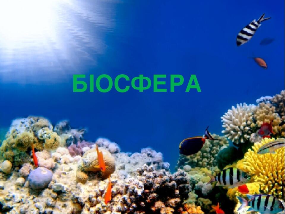 БІОСФЕРА