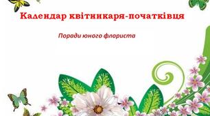 Презентація  "Поради юного флориста"