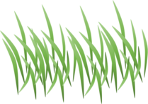 0200agv8-9854-209x147.png