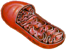 0200ahd3-5391-221x168.png
