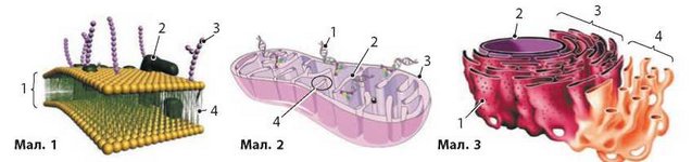 0200aib3-99eb.jpg