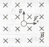 0200aiuq-0ced.png