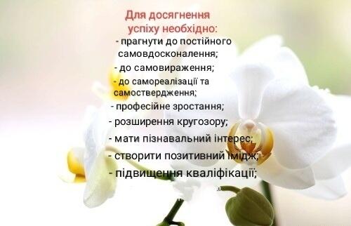 0200aiv6-82c0-500x322.jpg