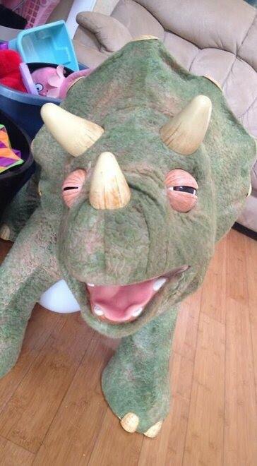 0200aj6n-9299.jpg