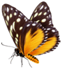 0200ajdr-962a.png