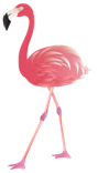 0200ajds-0a8e-89x156.png