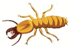 0200ajdt-24b9-70x48.png
