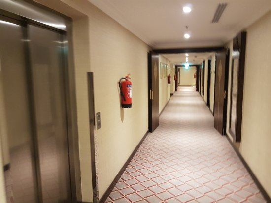 0200aluz-0e04.jpg