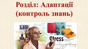 Адаптації узагальнення