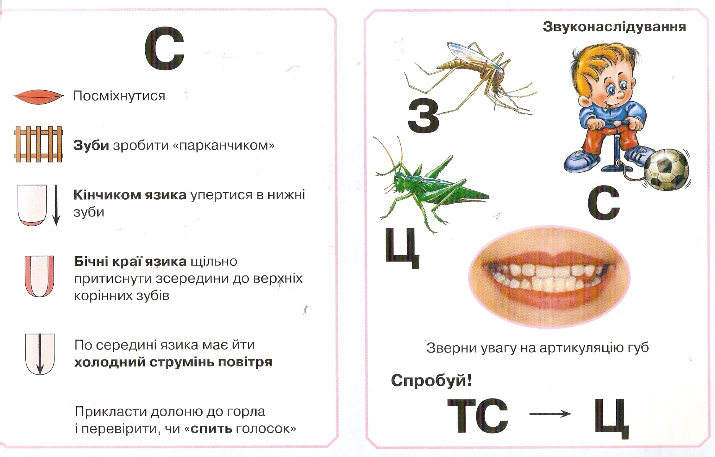 Артикуляция звука в для детей в картинках