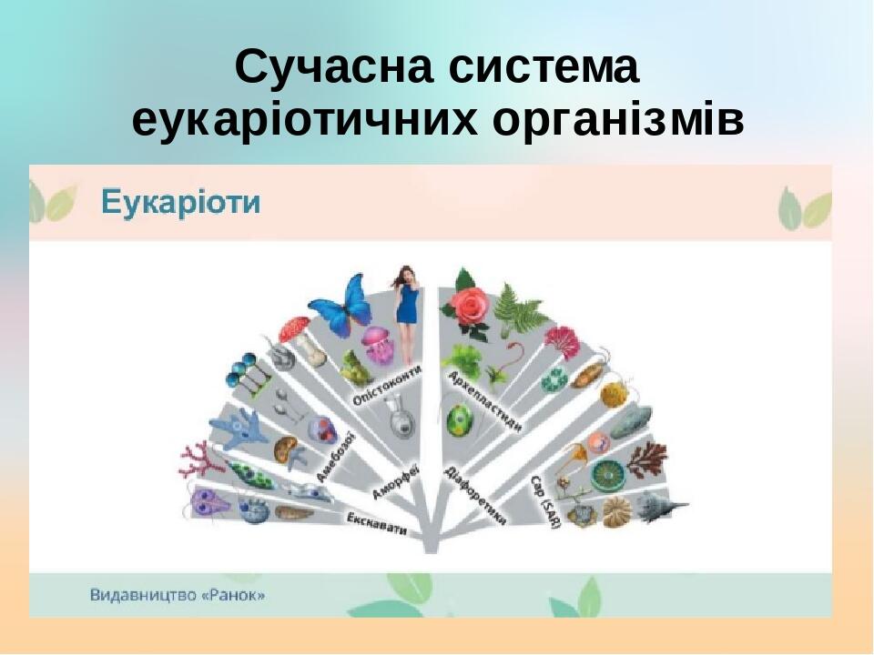 Сучасна система еукаріотичних організмів