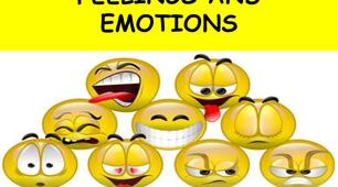 Feelings and Emotions