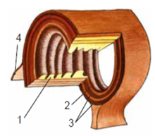0200asje-cfa8-220x193.png