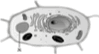 0200atc7-0f49-178x99.png