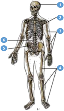 0200aupj-4191-213x369.png