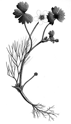 0200ayls-df31.png