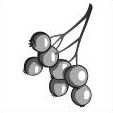 0200aynp-bc4b-113x113.png